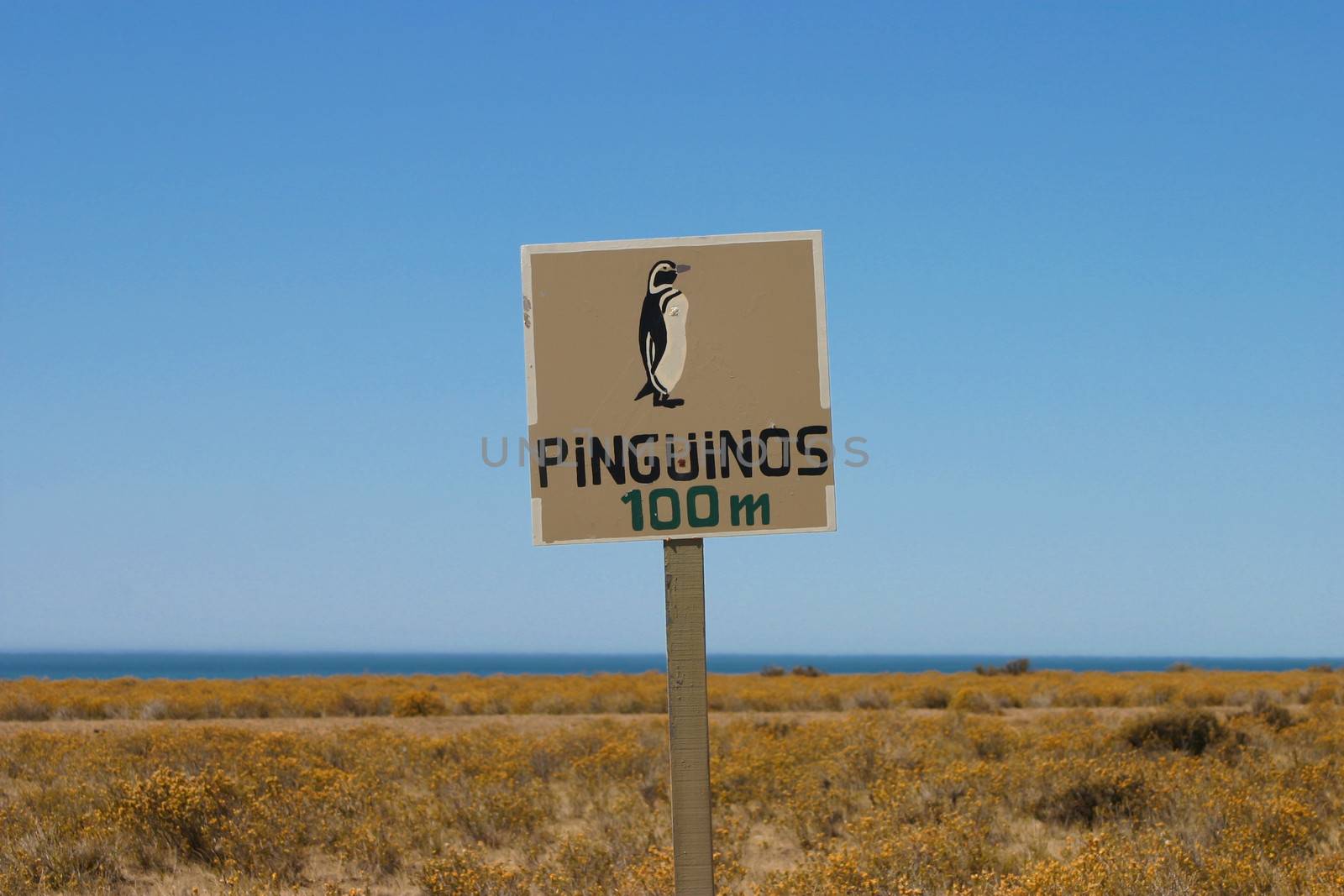 Penguin warning by watchtheworld