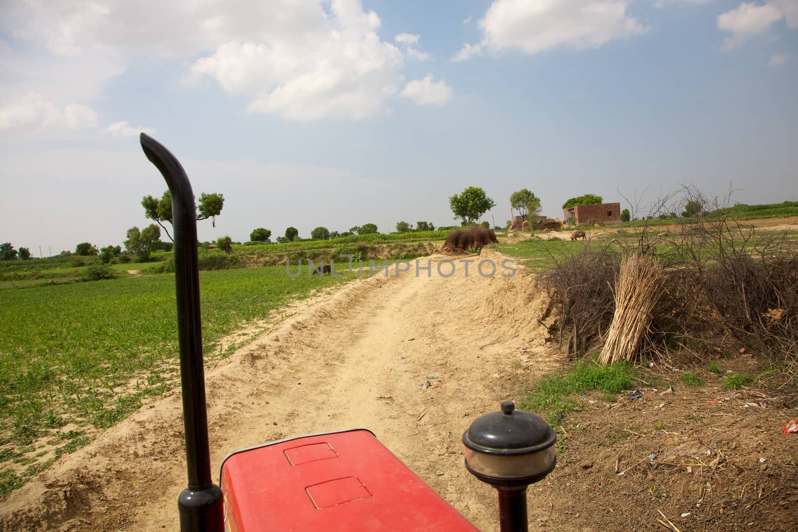 Farm tractor plowing the land