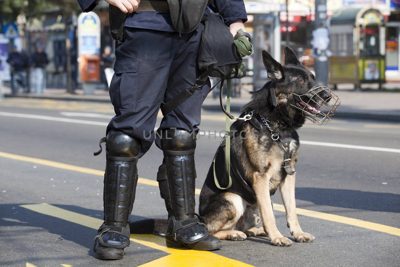 Policeman with dog