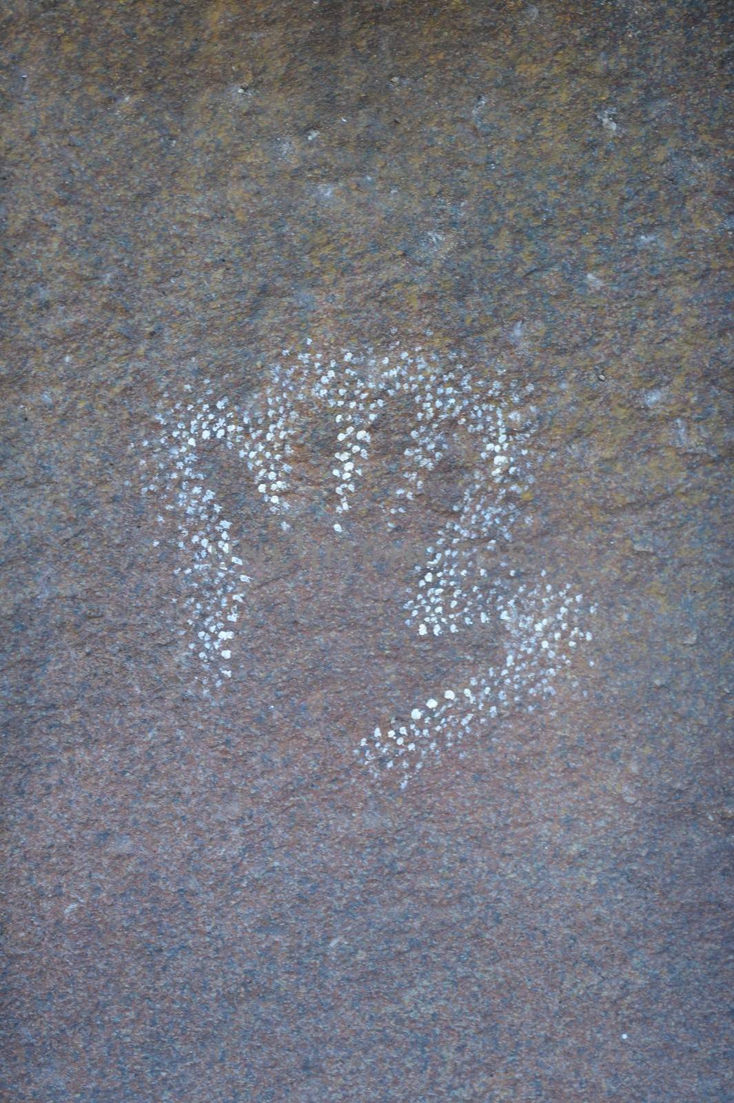 A shot of Australian imatation rock art