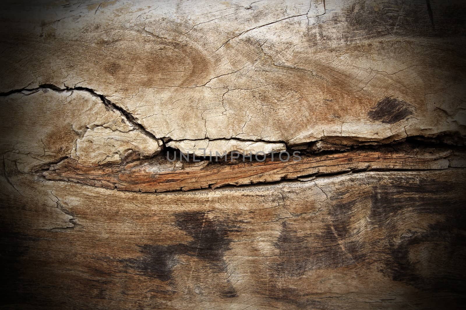 poplar wood cracked texture; this piece of wood is more than two hundred years old, it was finished with hand and hatched, not with industrial technology