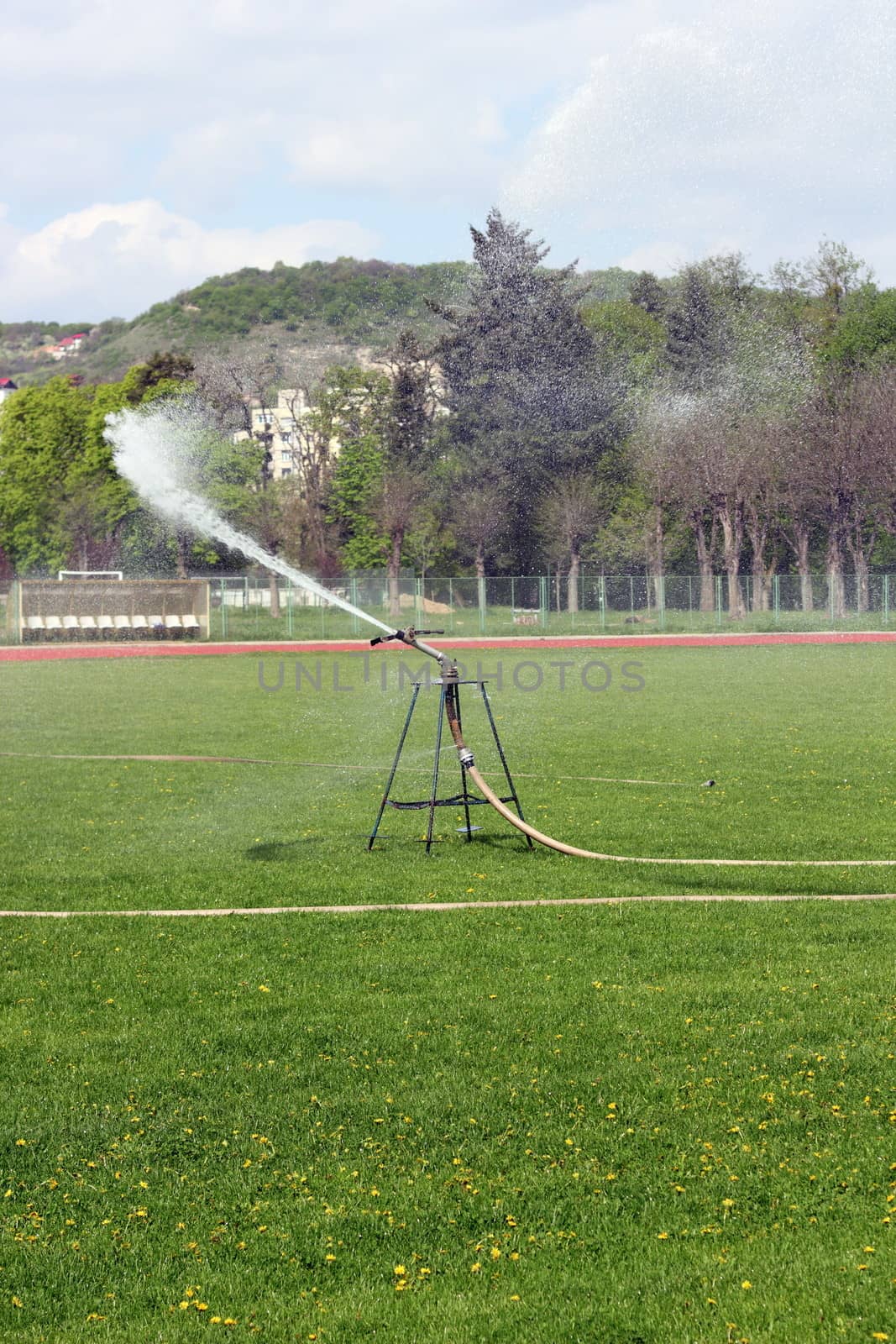 sprinkler delivering water on lawn  in the park