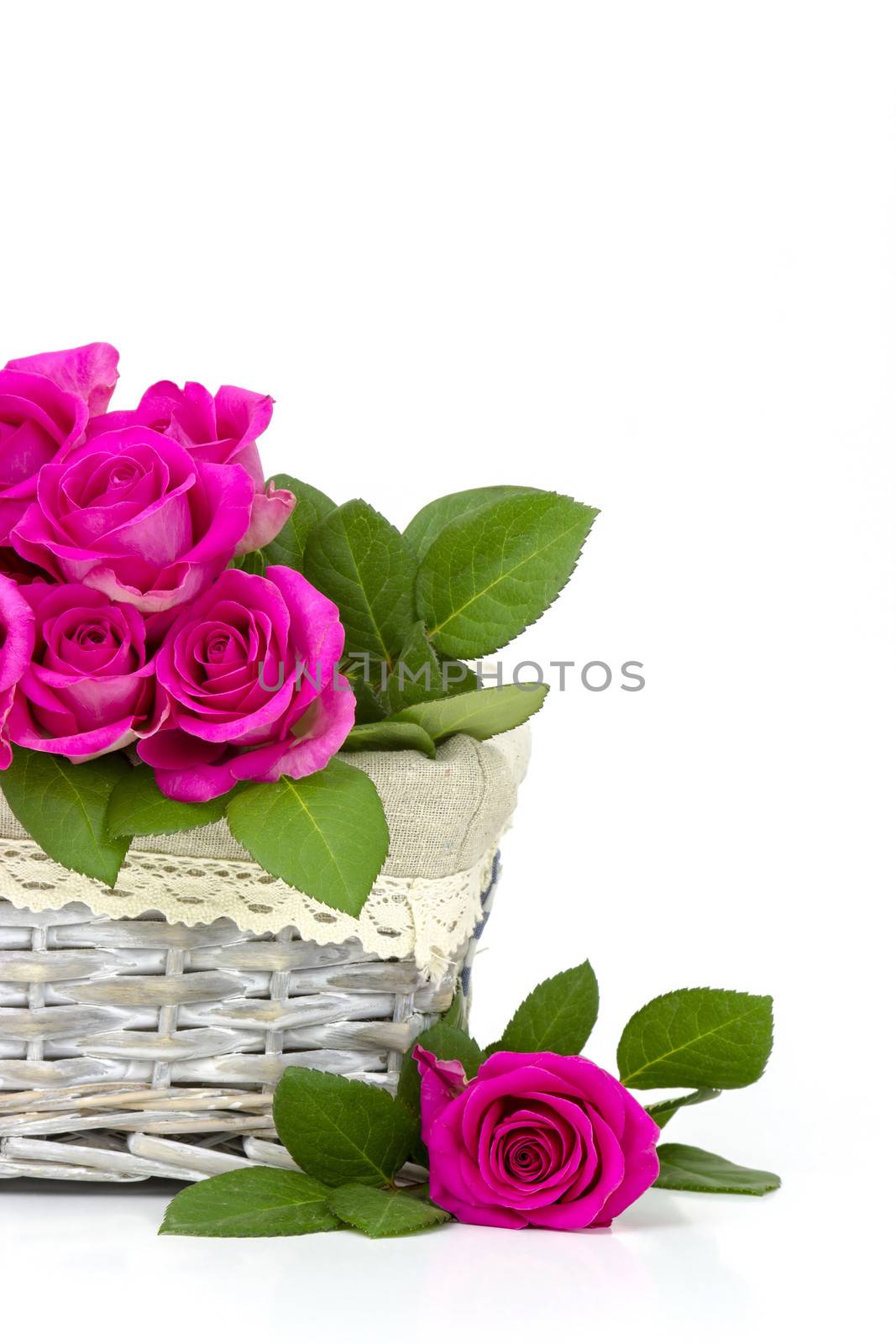pink roses in a basket by miradrozdowski