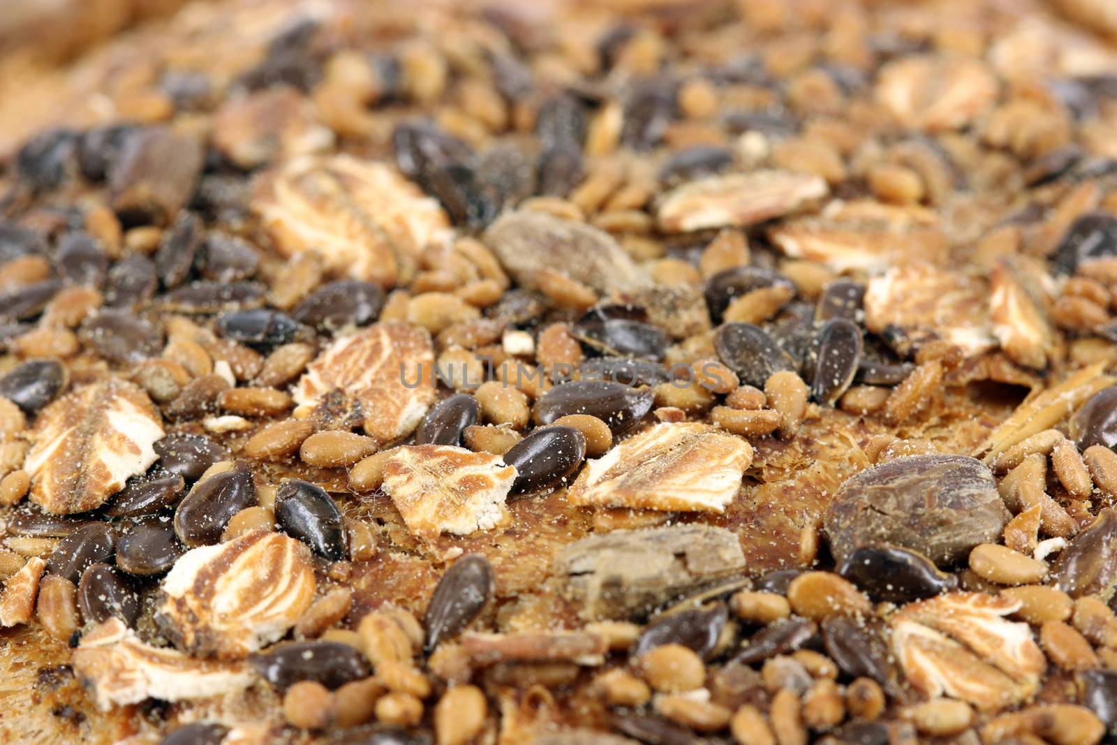 bread with seeds food background