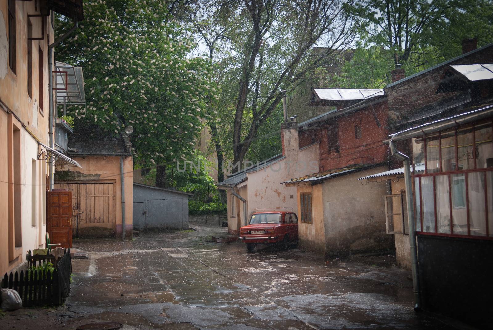 Rain showers in a yard in Lvov, Western Ukraine