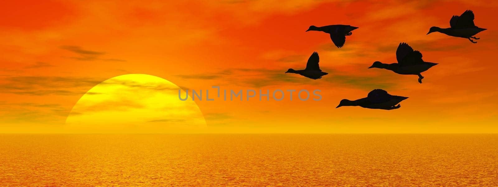 Silhouette of ducks flying upon water by red sunset