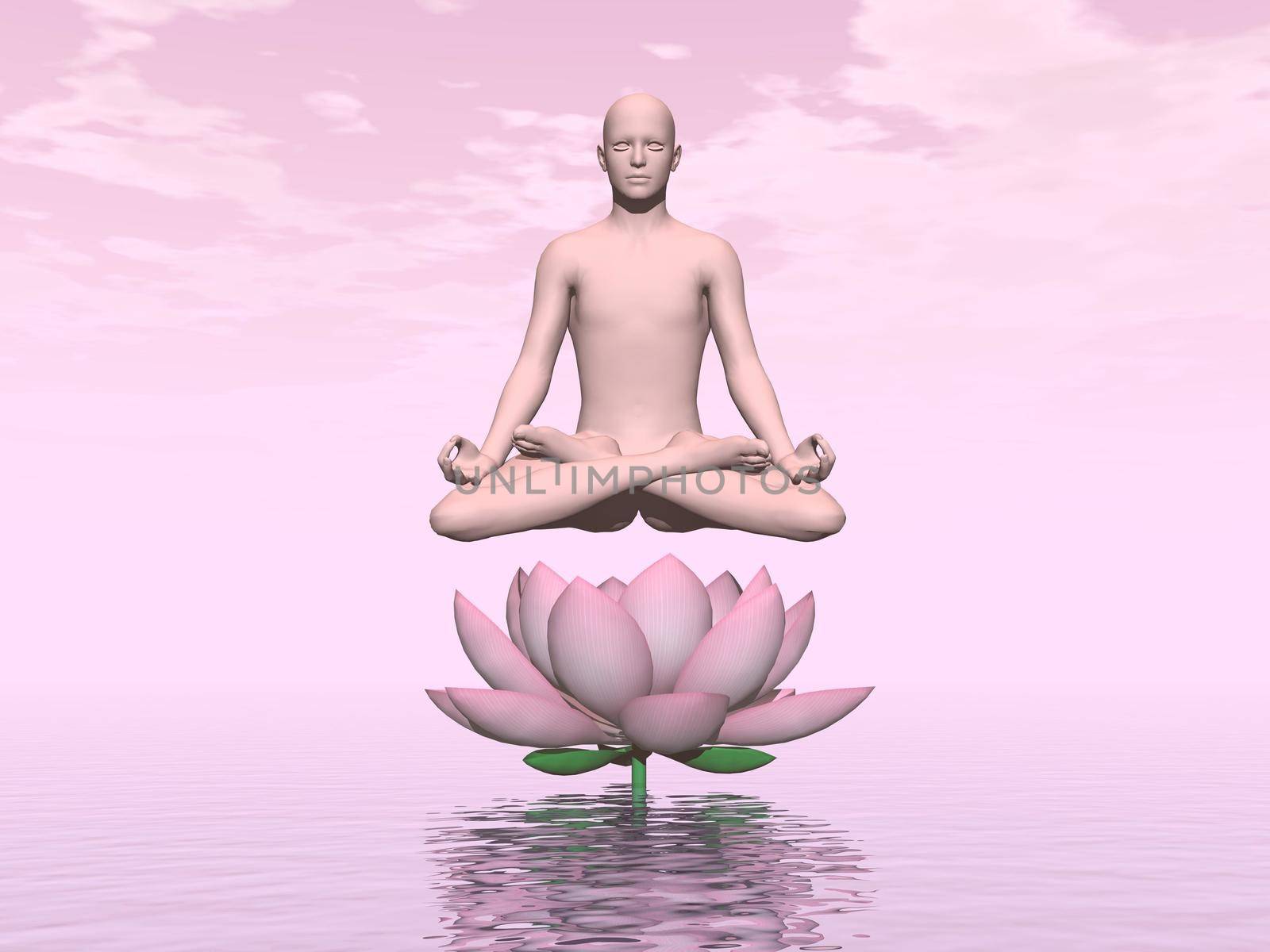 One human meditating upon a lily flower and water in pink background