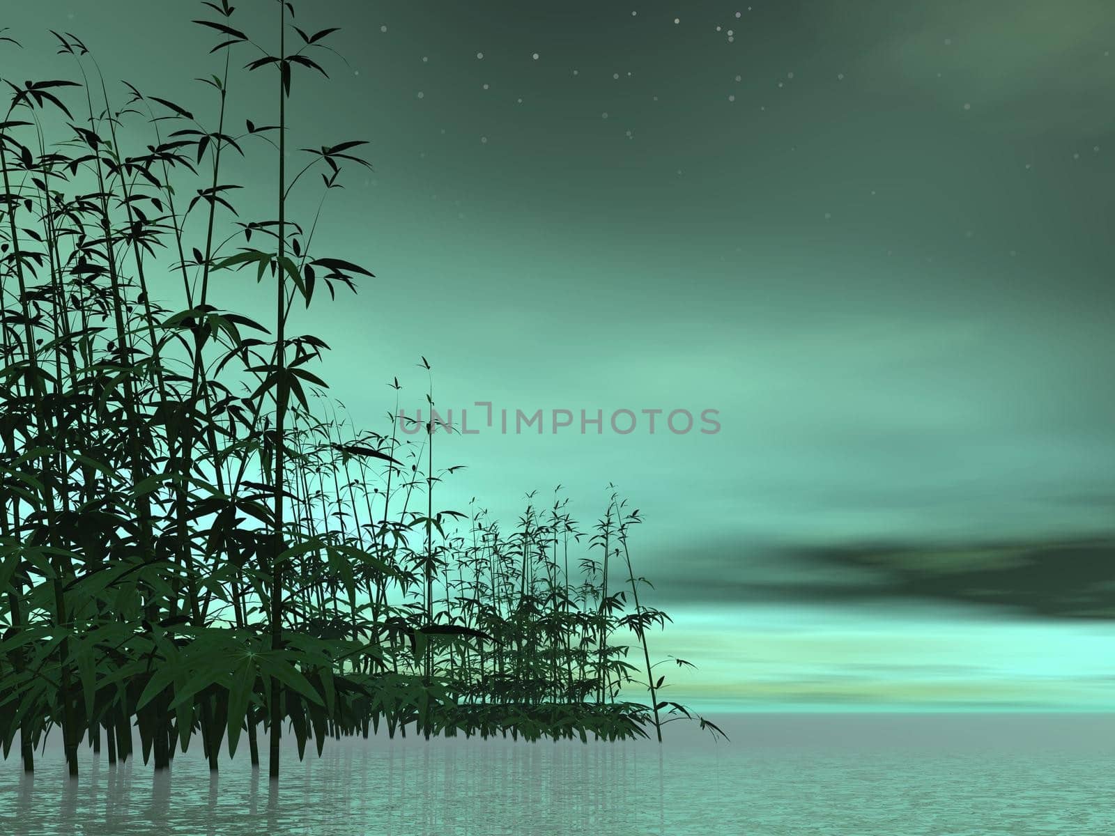 Bamboos in water into green night background