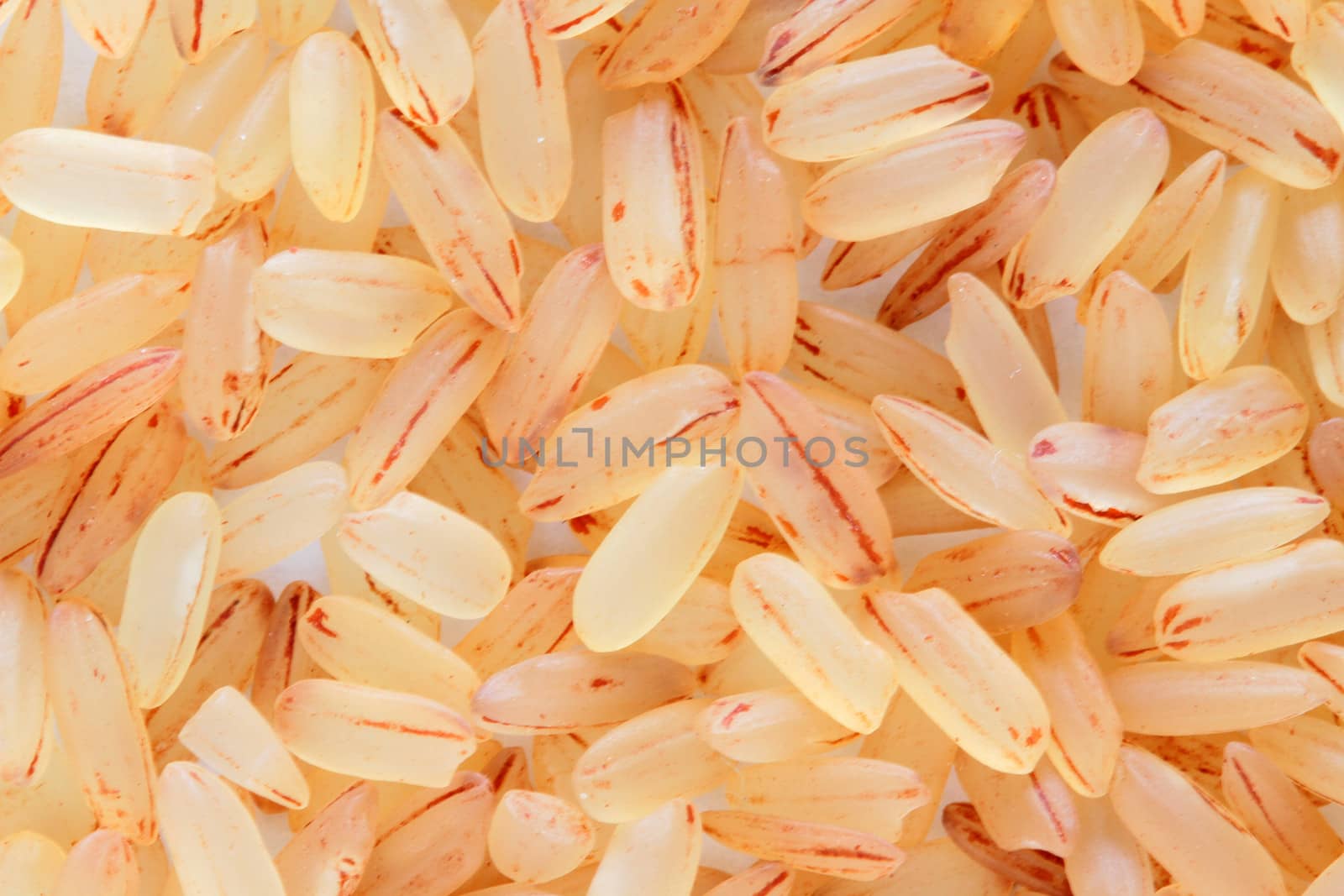 raw brown rice background macro