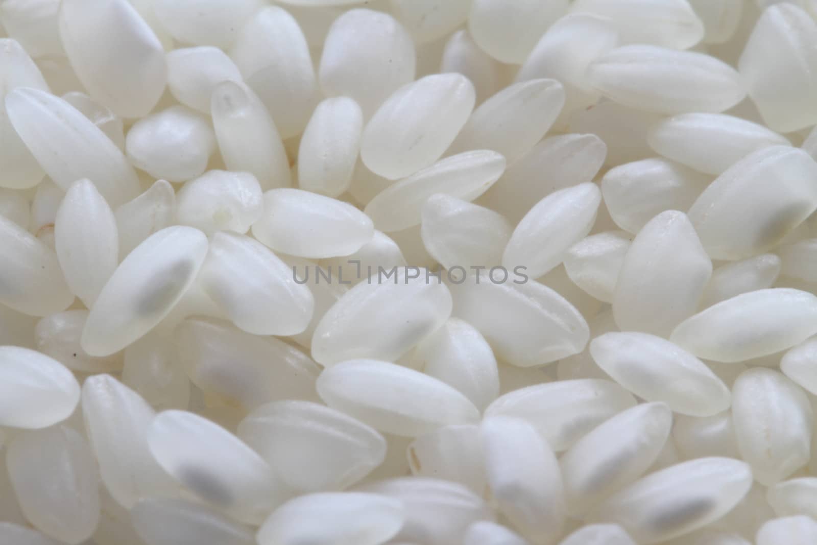 raw white rice background macro