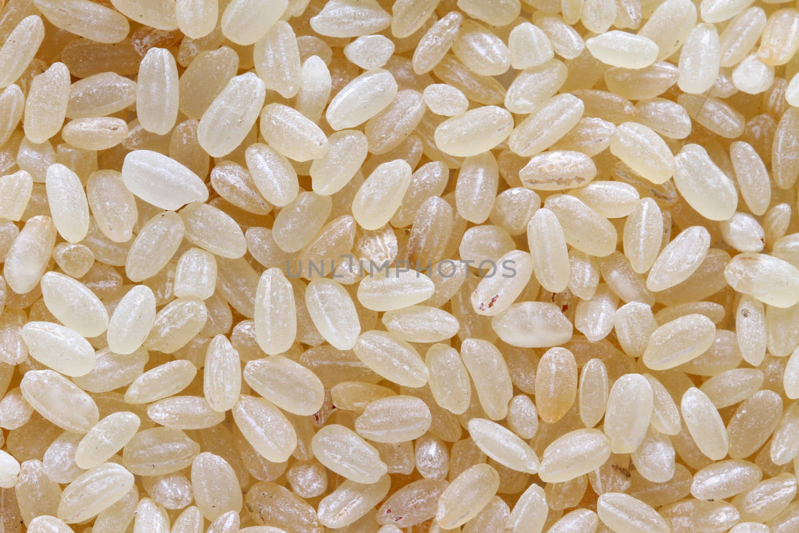 raw white rice background macro by pbsubhash
