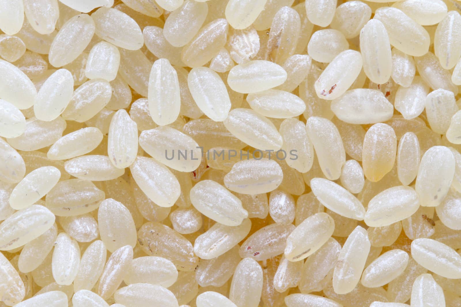 raw white rice background macro