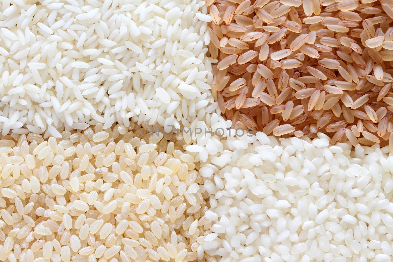 brown and white rice background