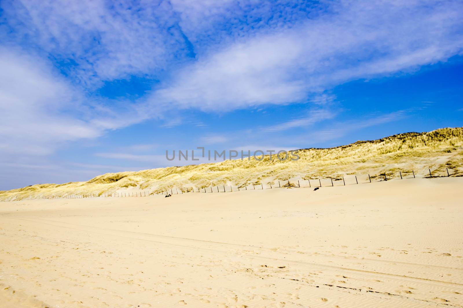 Beach on North Sea, the Netherlands by Tetyana