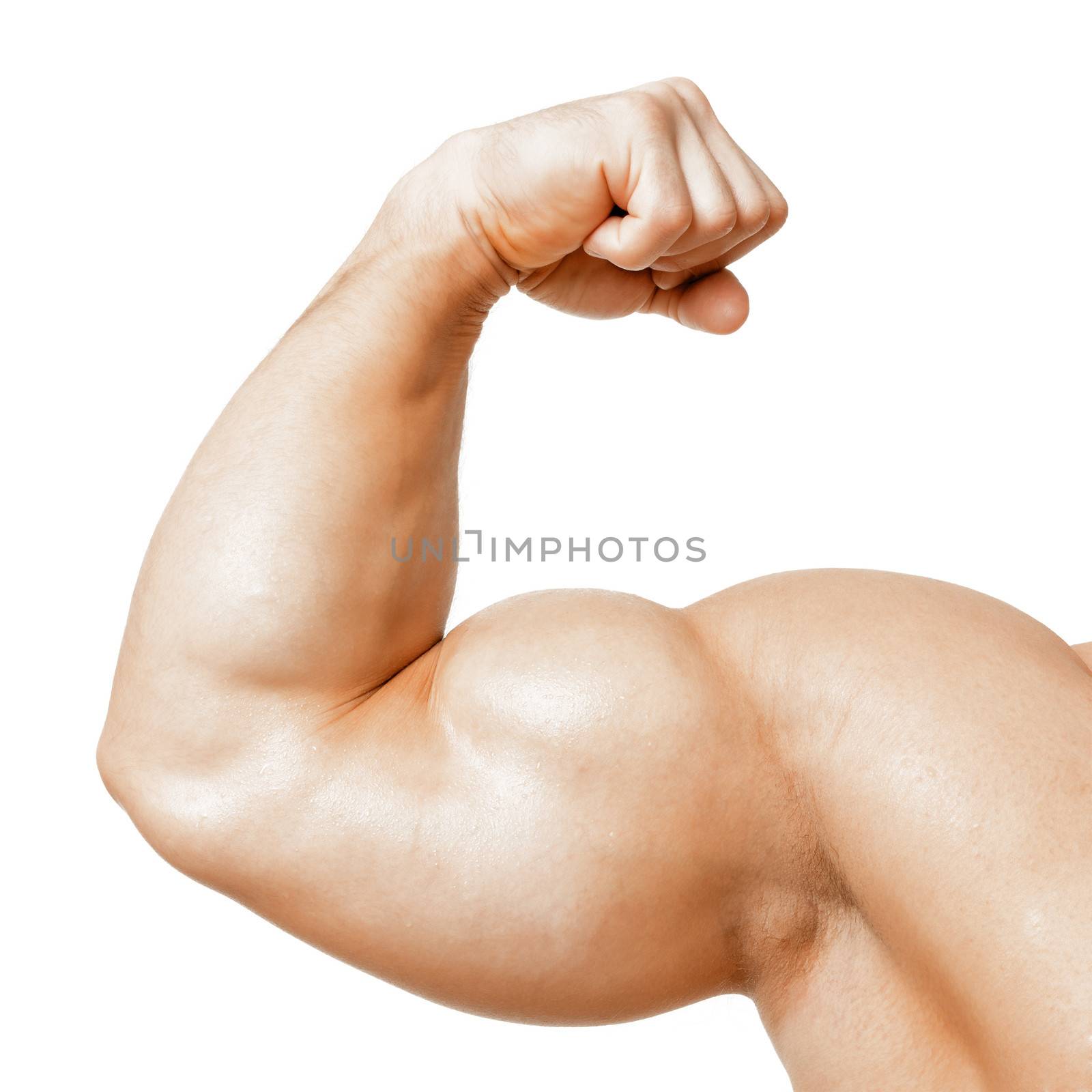 An image of a muscular biceps isolated on white