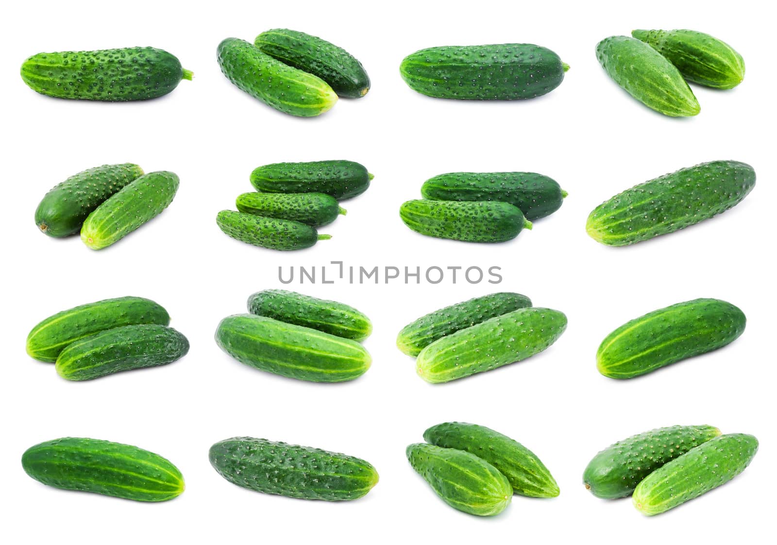 Collection of fresh green cucumber isolated on white background