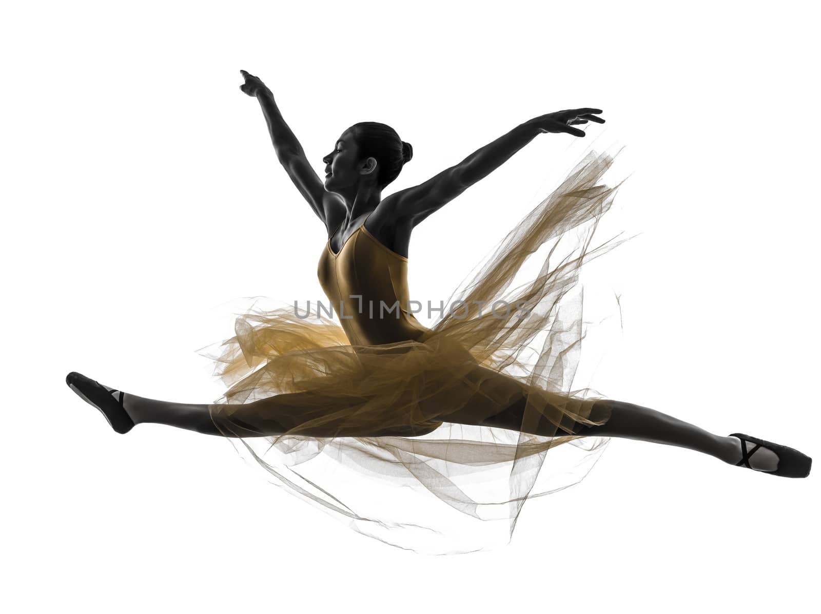 one woman  ballerina ballet dancer dancing in silhouette on white background