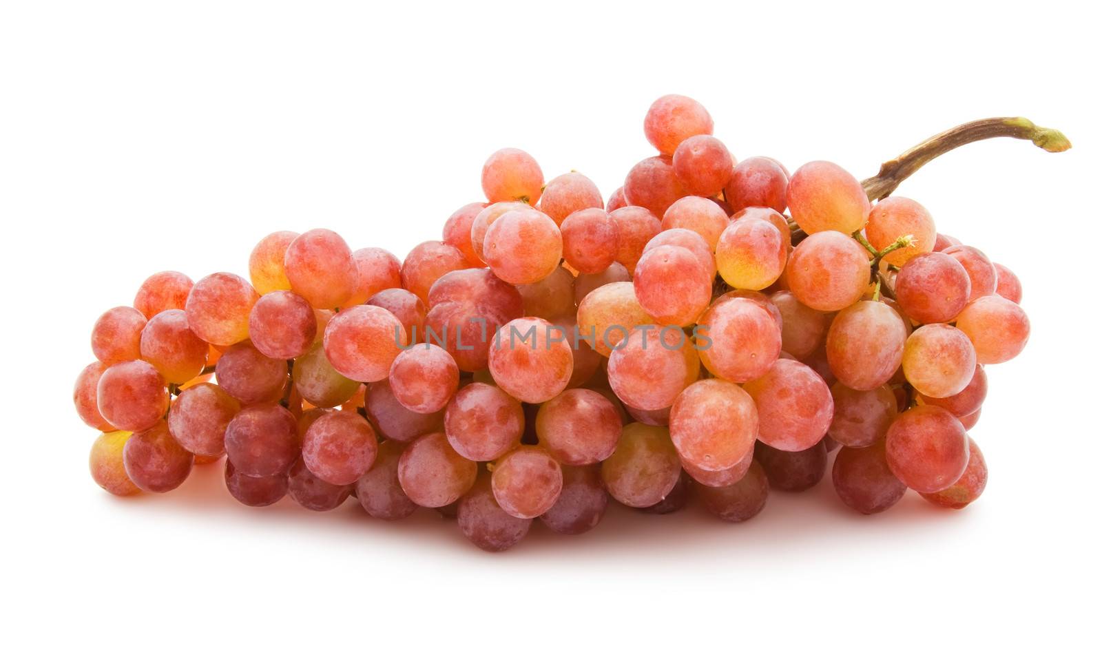 Branch of grapes isolated on white background