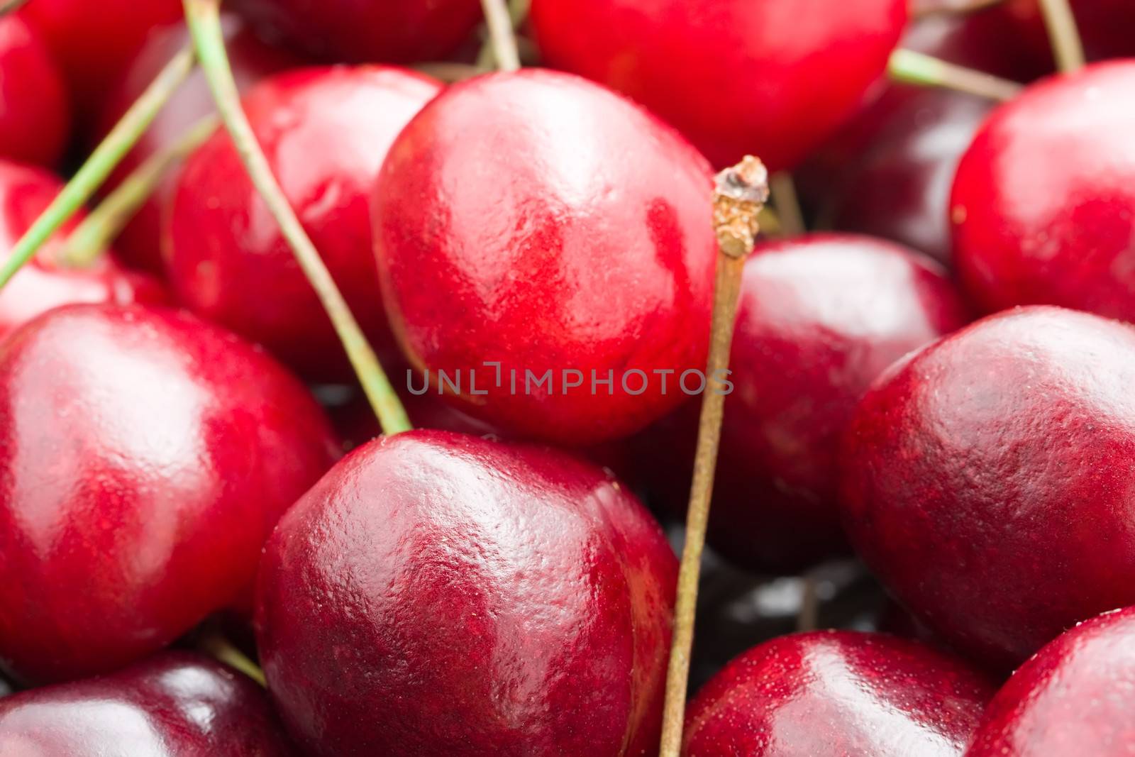 Beautiful red fresh cherry macro photo background