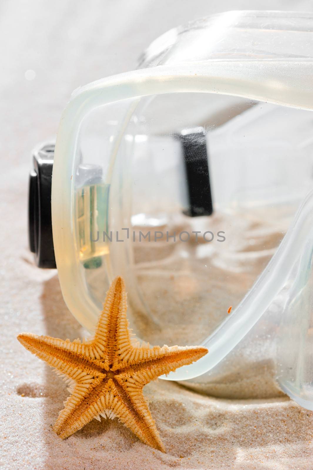 mask for snorkeling and starfish on dry sand