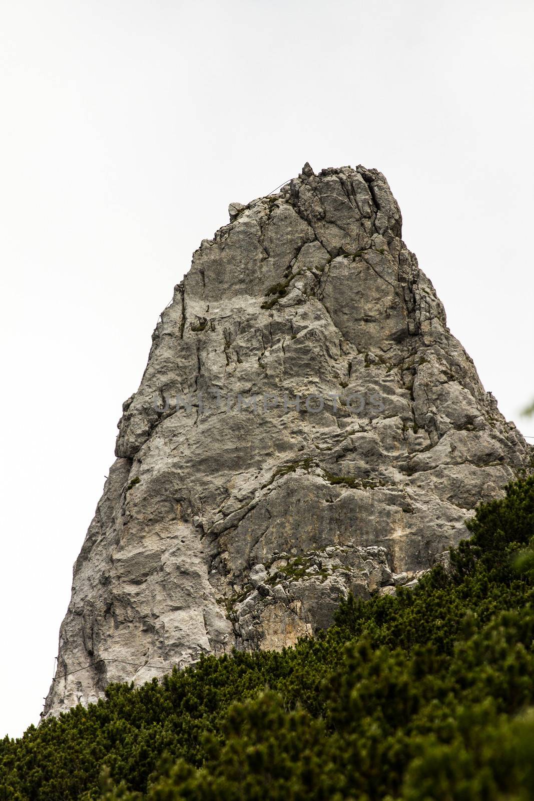 The rock in the Alp high mountains