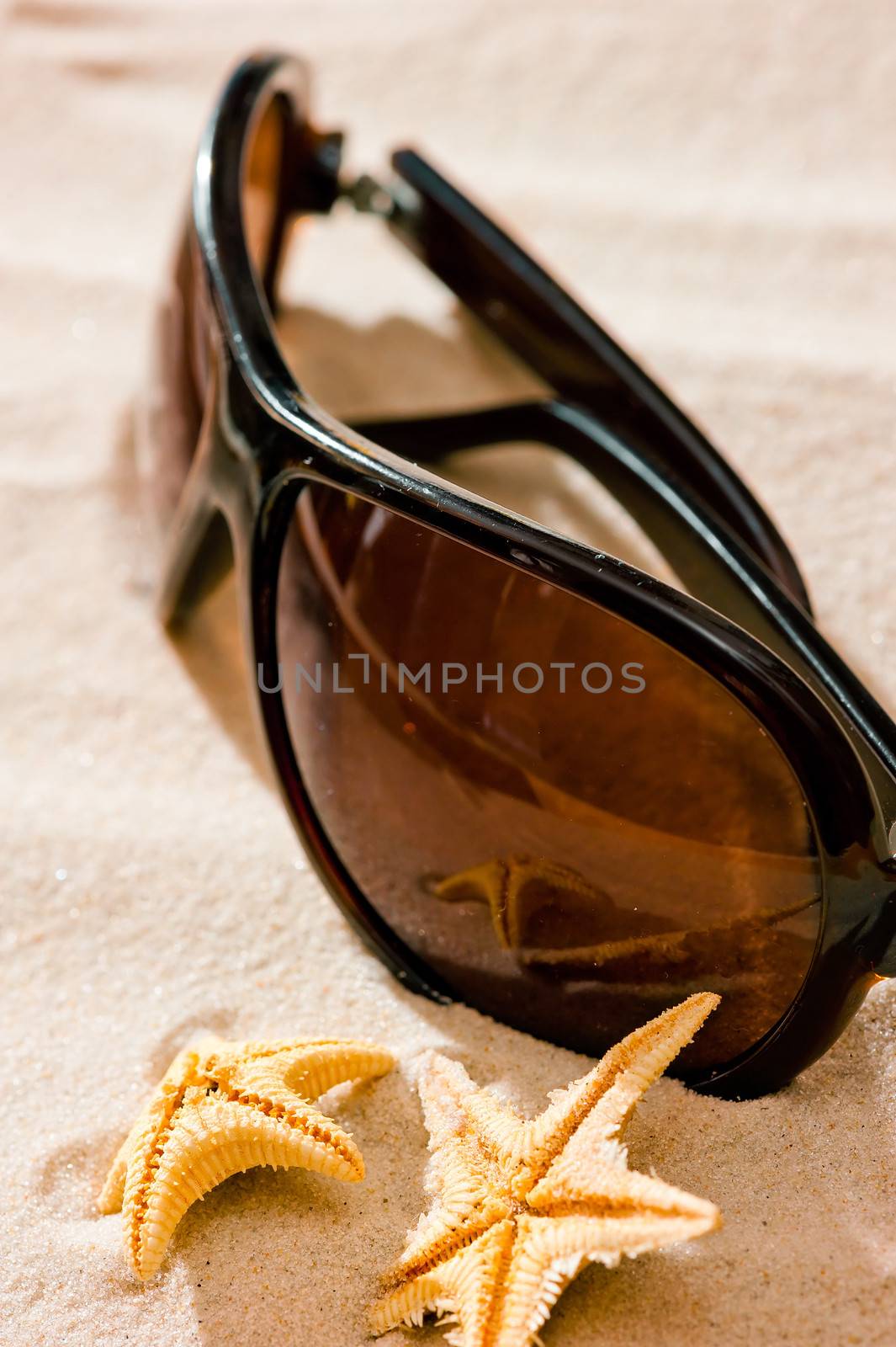 sunglasses closeup on the beach and starfish