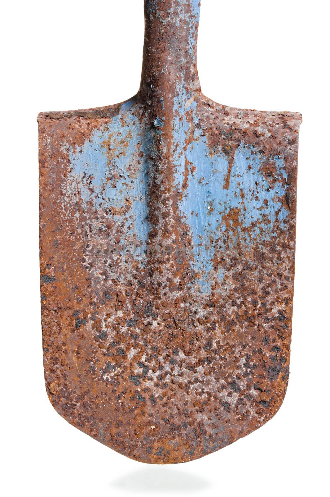 stalk old rusty shovel on white background by kosmsos111