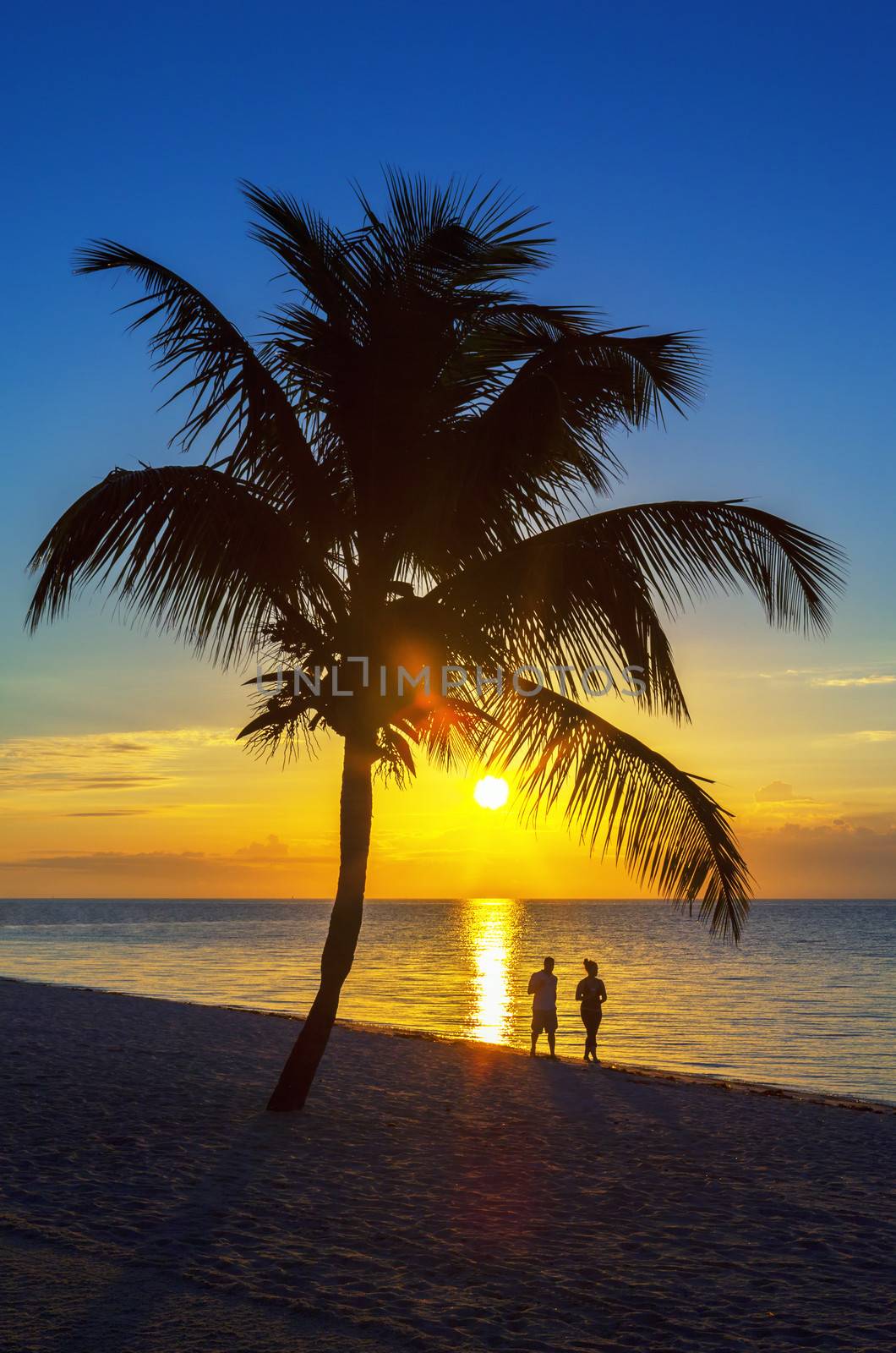 The silhouette of couple walking at sunset on the beach 