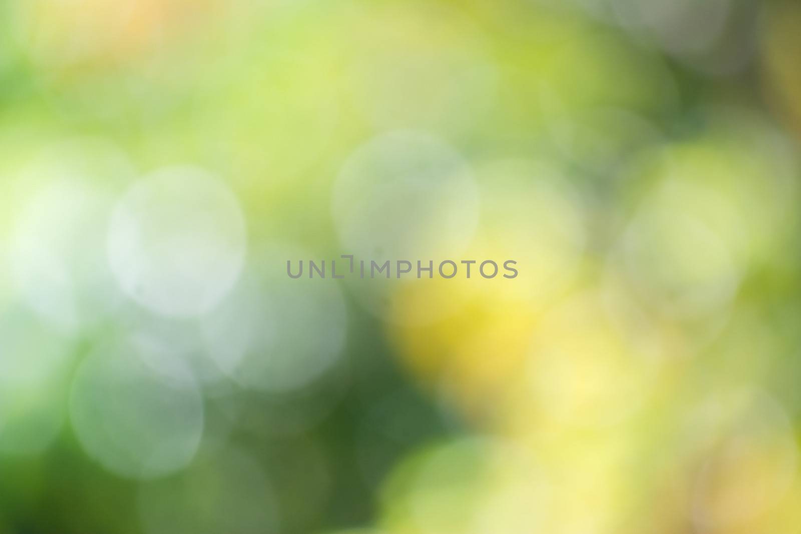 Abstract background color in selective focus.