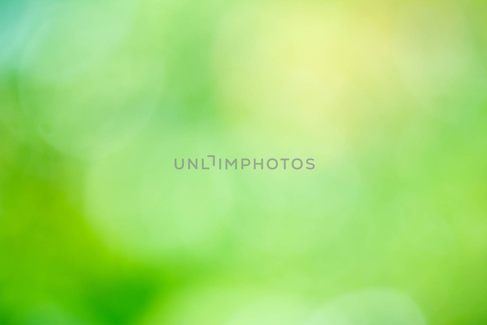 Abstract background color in selective focus.