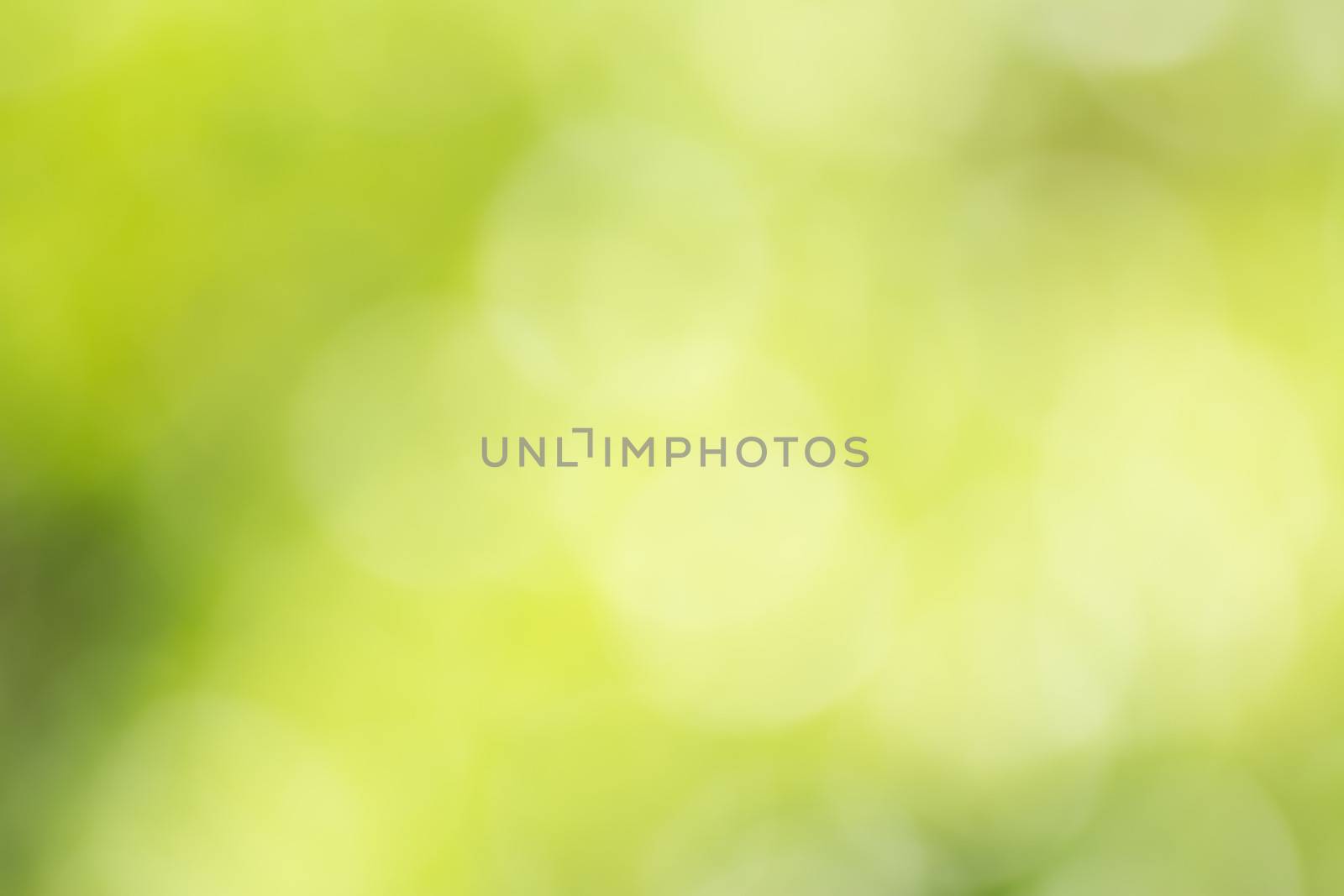 Abstract background color in selective focus.