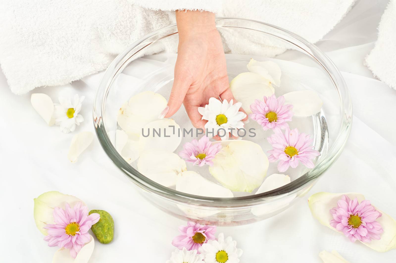 Spa composition, woman's hand holding flower