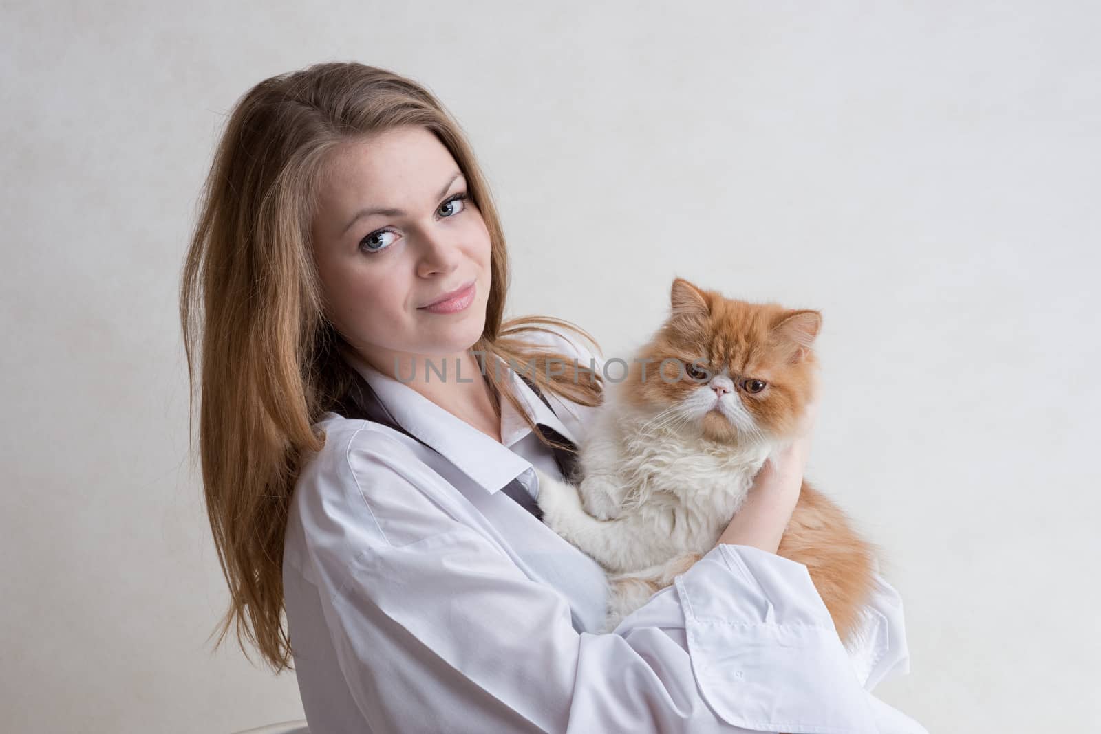 The young nice girl holds a red Persian cat on hands