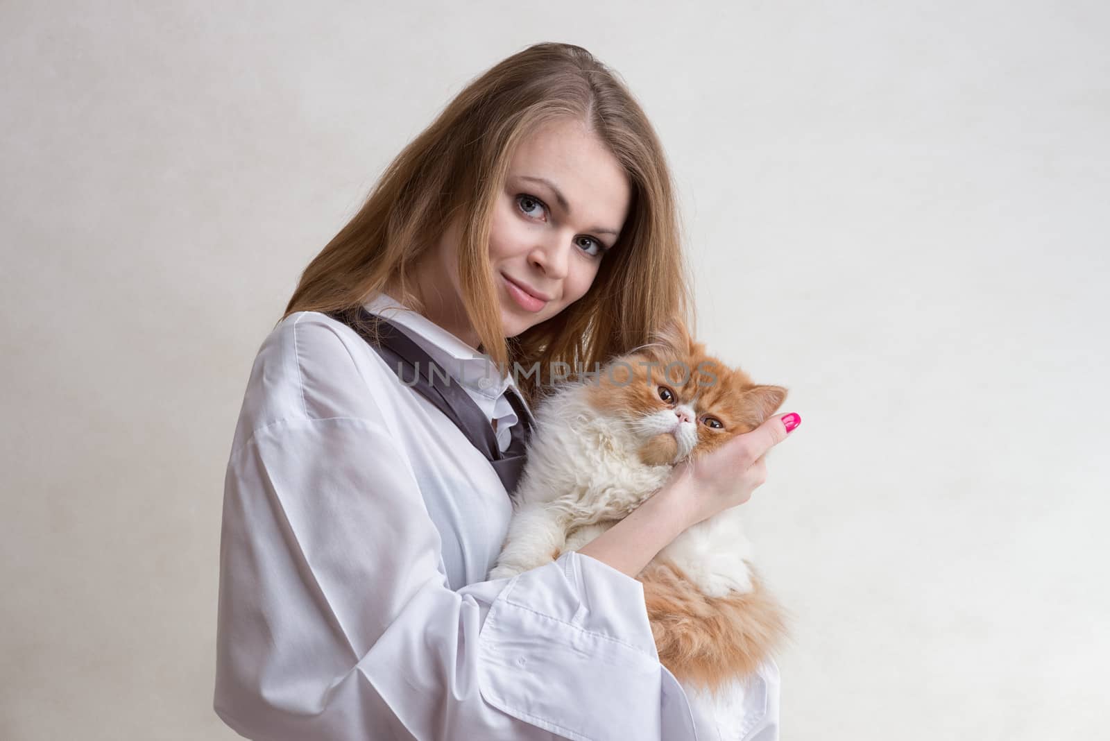 The young nice girl holds a red Persian cat on hands