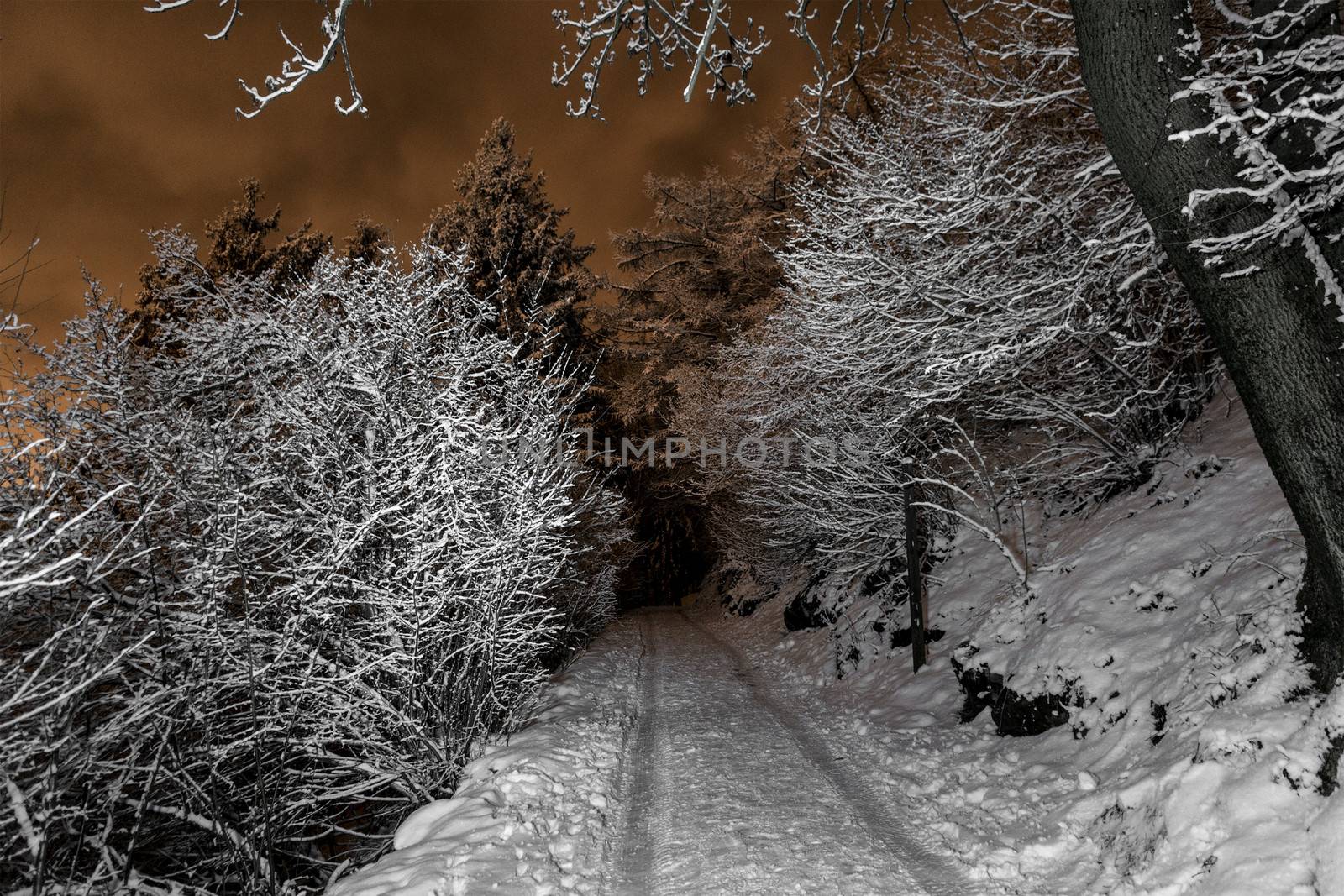 Mountain path in a winter night, regional park of Campo dei Fiori - Varese, Lombardy - Italy