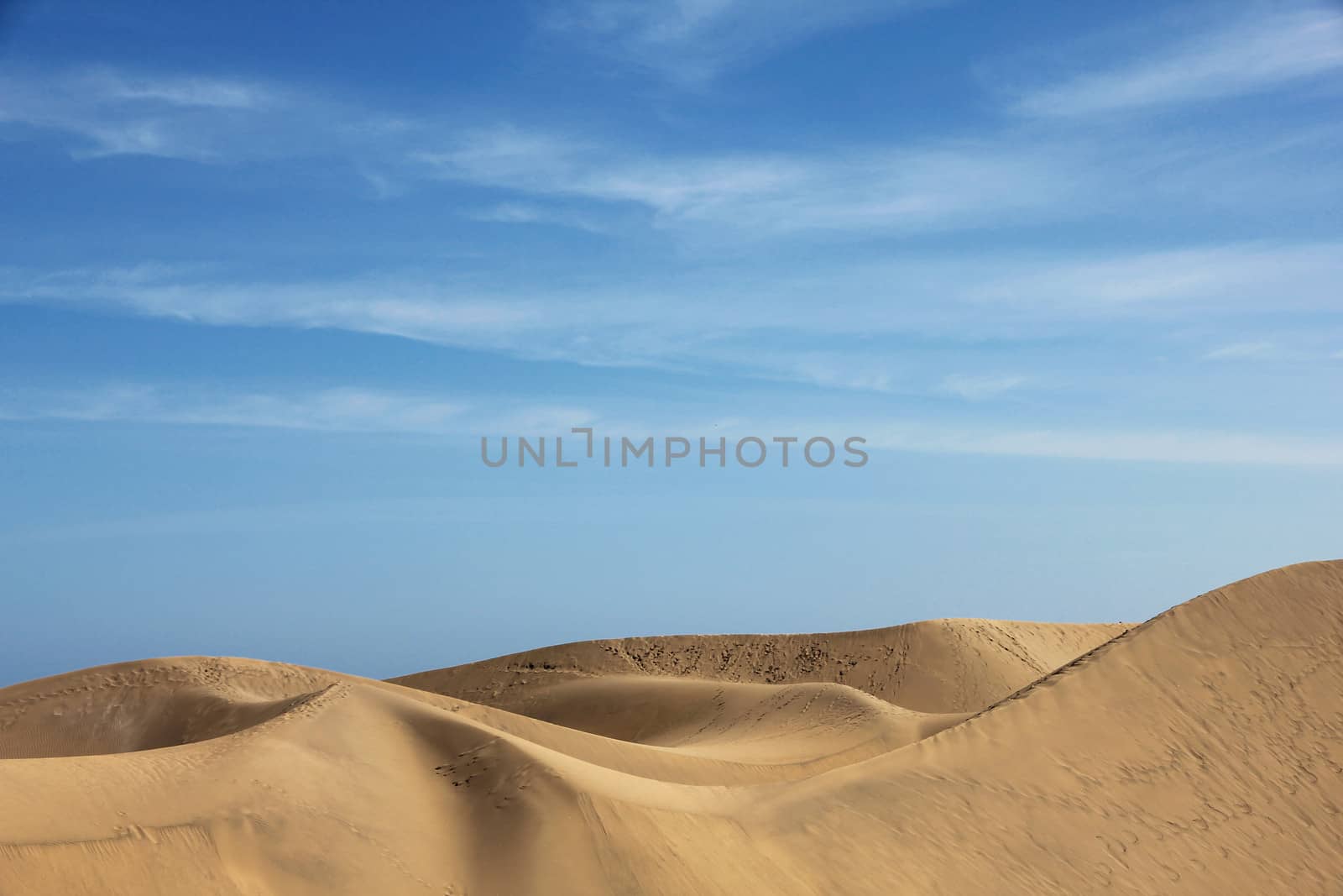 Spain. Canary Islands. Gran Canaria island. Dunes of Maspalomas