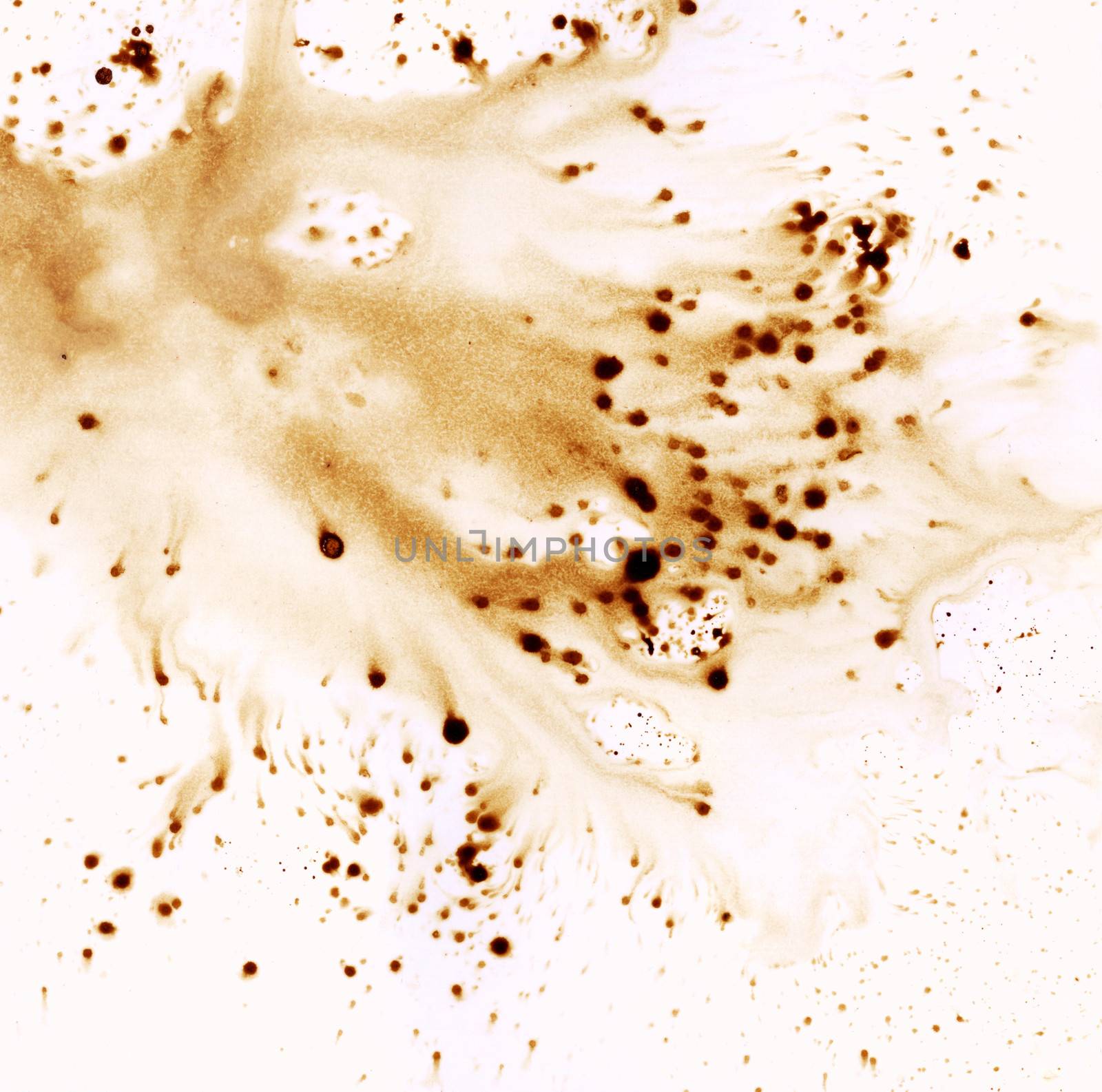Abstract background, brown coffee stains on paper