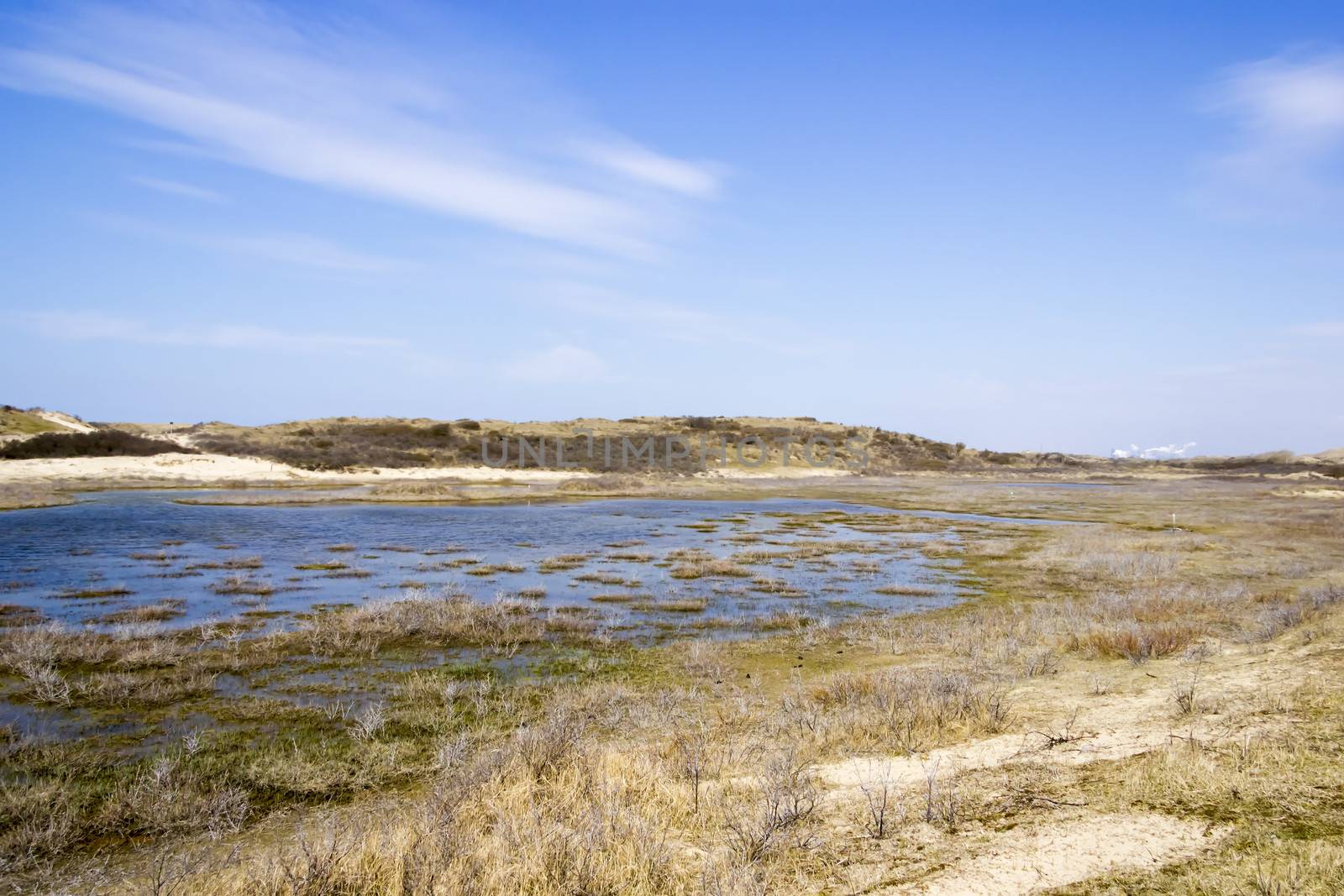 Lakes, National Park Zuid Kennemerland, The Netherlands by Tetyana