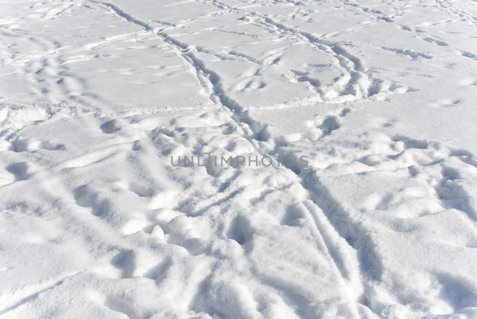 Snow texture and footprints in the snow