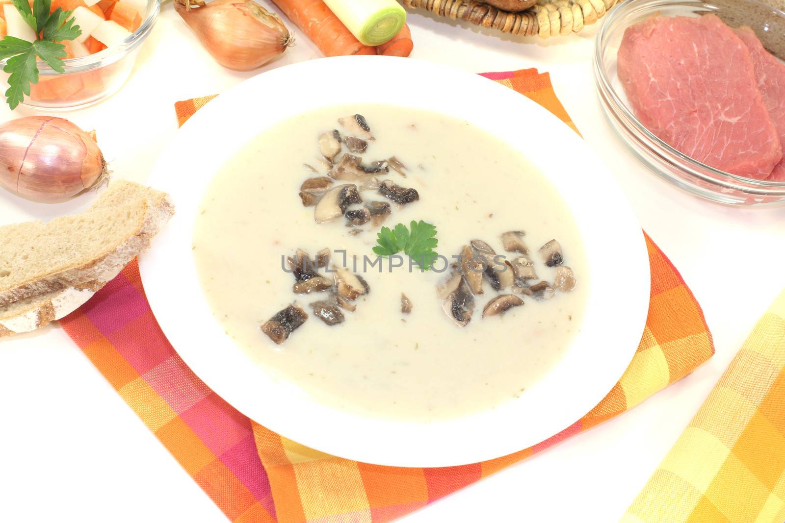 fresh Veal cream soup with mushrooms on a light background