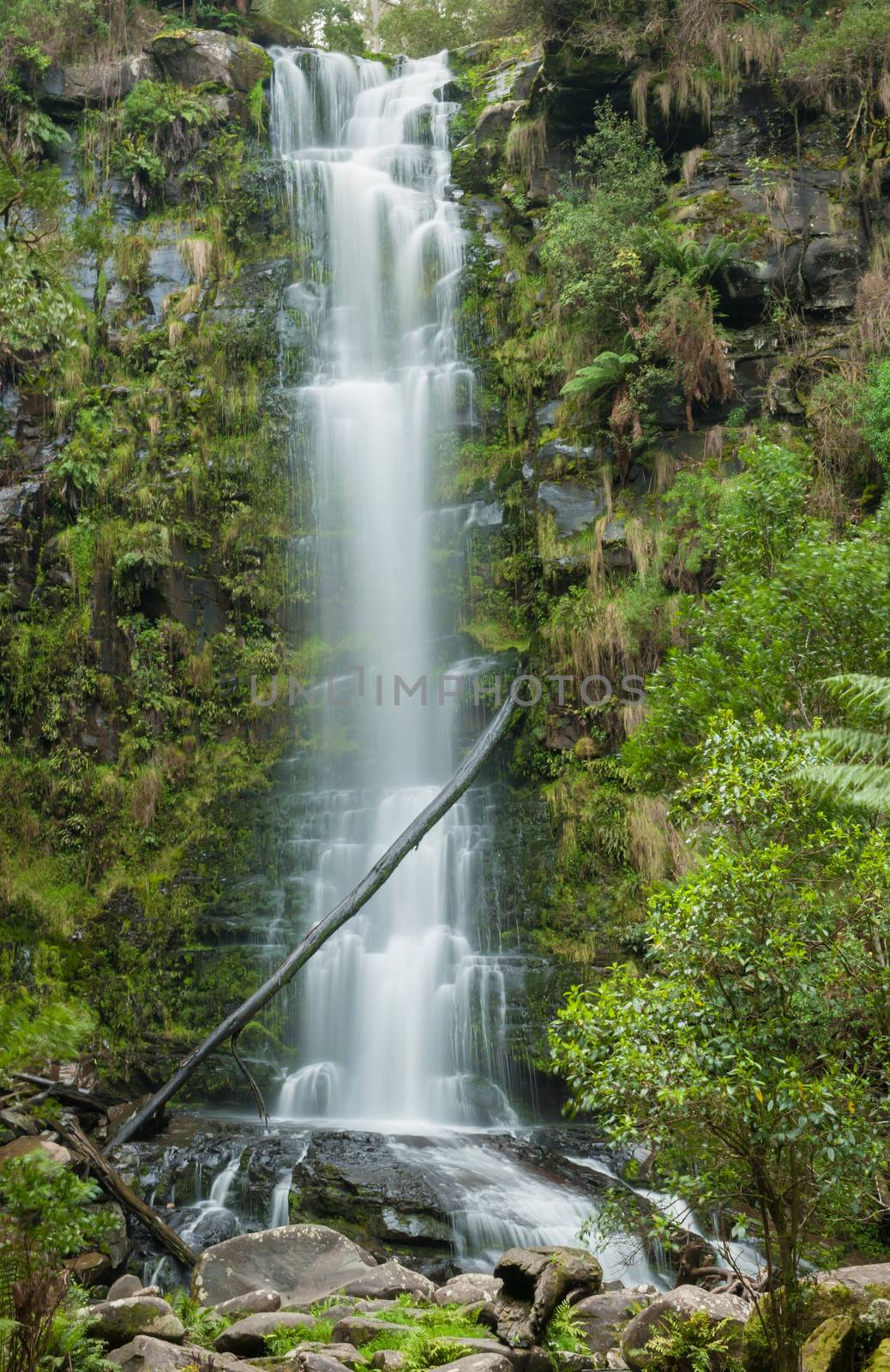 Erskine Falls are located near the Great Ocean road on the Southern Coast of state Victoria, Australia