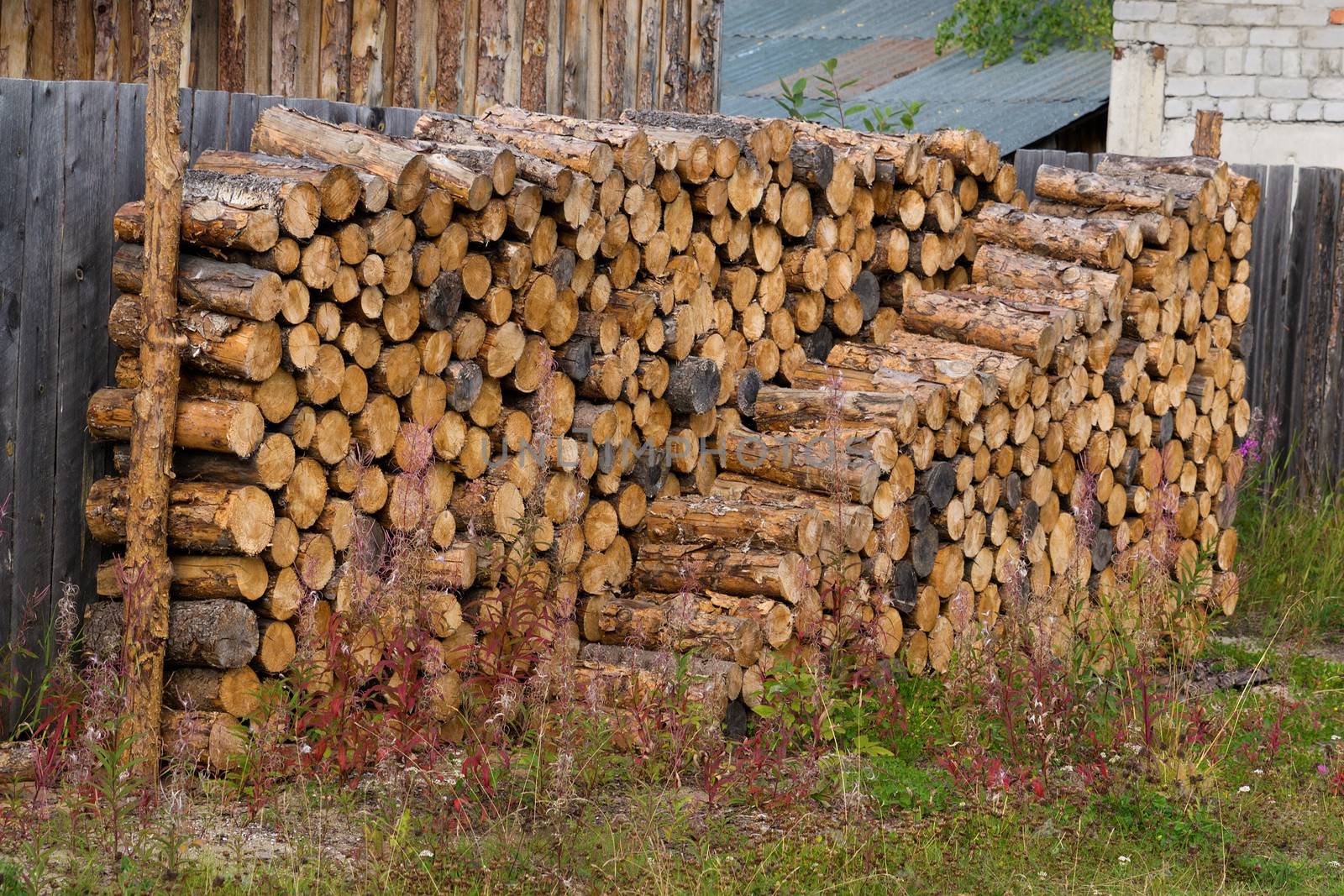 Stacked of firewood laying in the yard