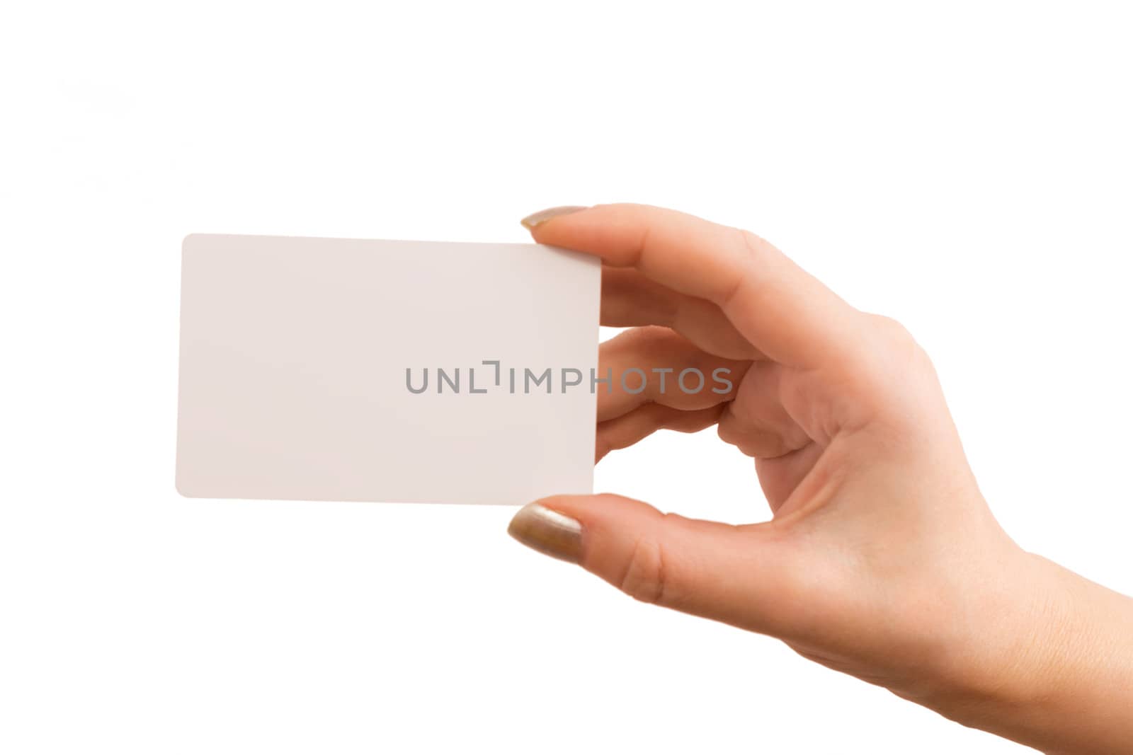 The hand holding a business card isolated