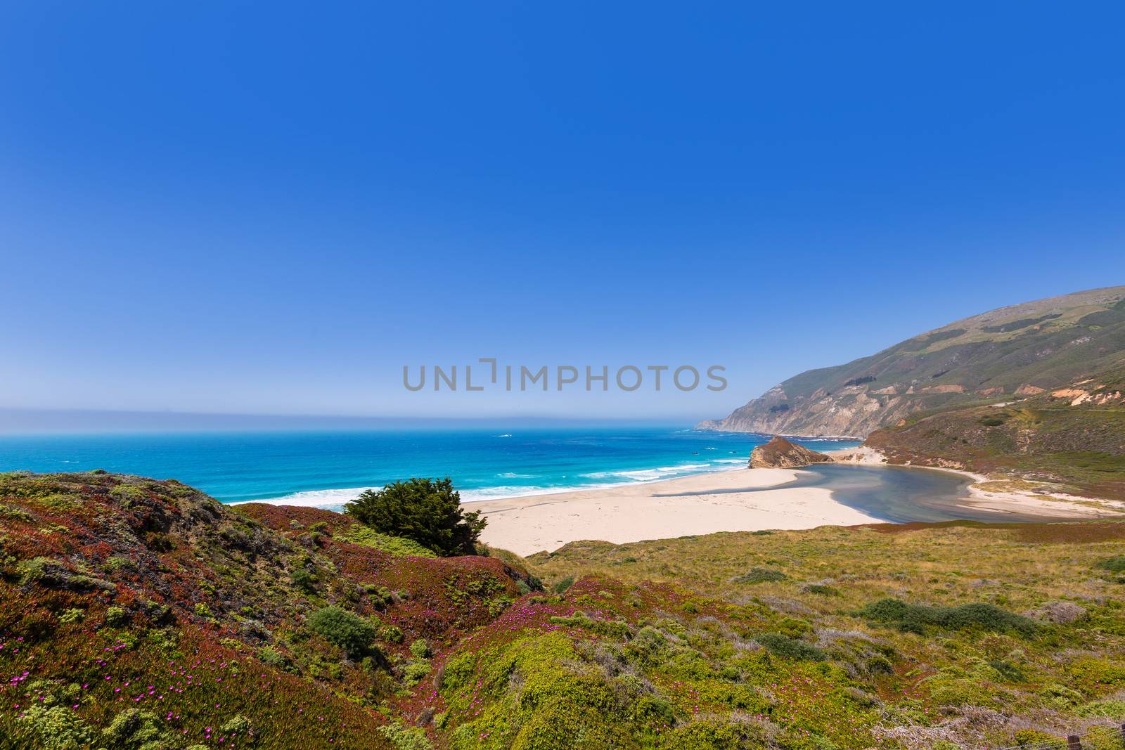 California beach in Big Sur in Monterey Pacific Highway 1 by lunamarina