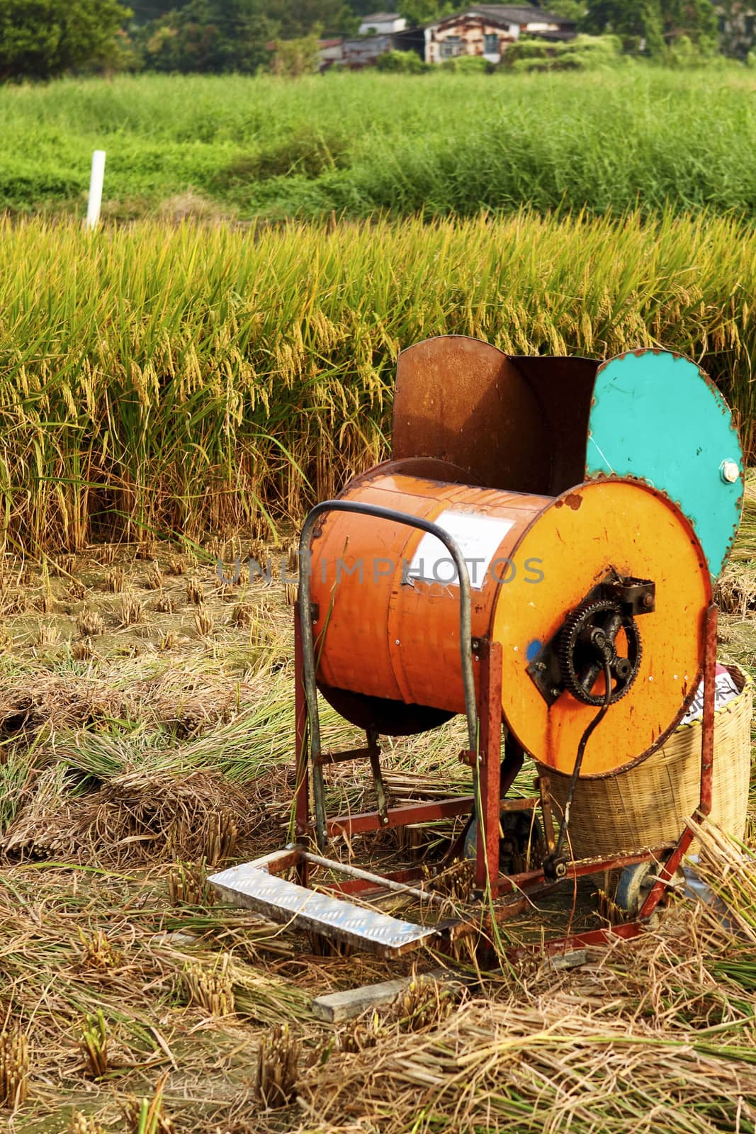 Vintage rice wood machine  by cozyta