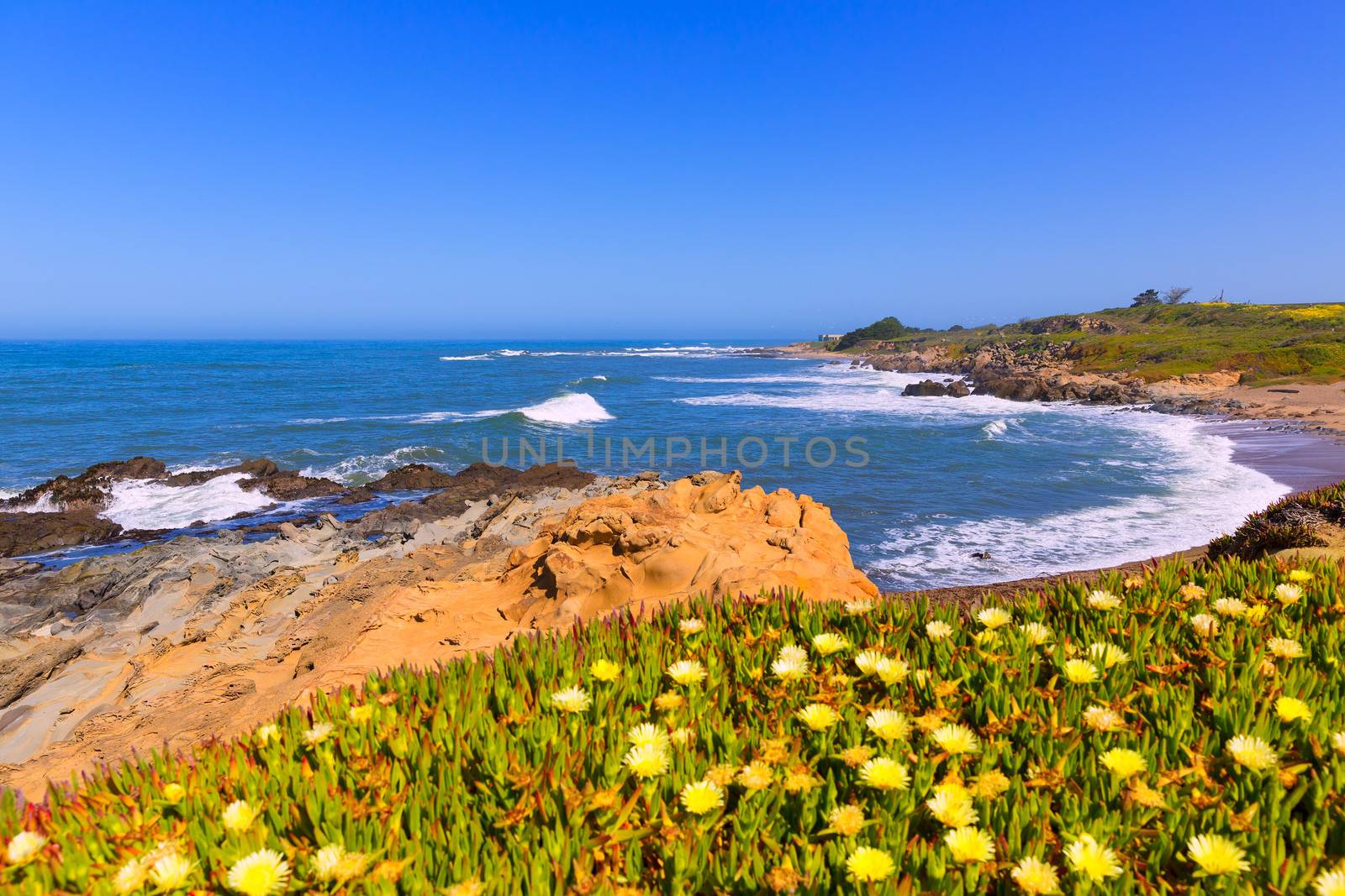 California Bean Hollow State beach in Cabrillo Hwy by lunamarina