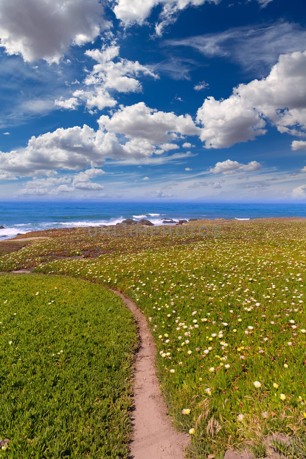 California Pigeon point beach in Cabrillo Hwy coastal highway State Route 1