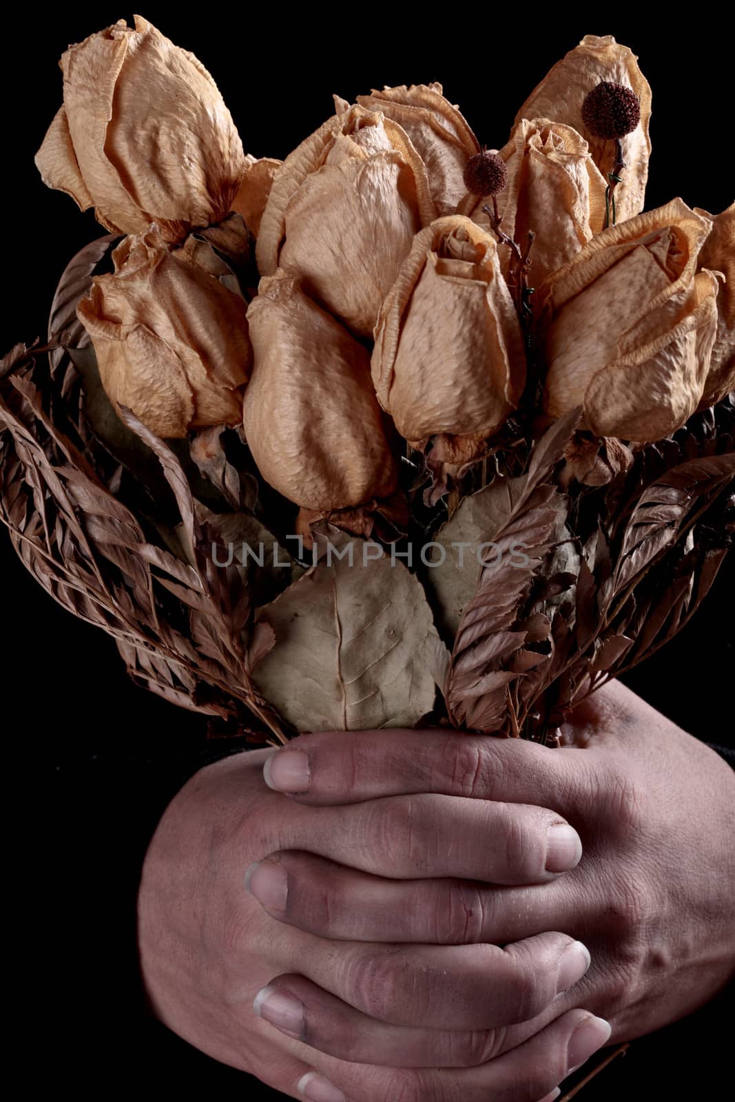 hands dirty and dried roses by erllre