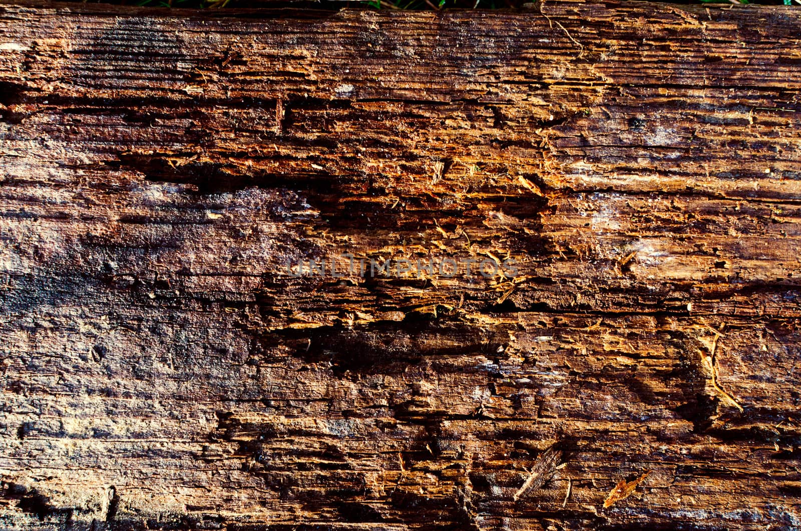 Old wood cracked texture by DNKSTUDIO