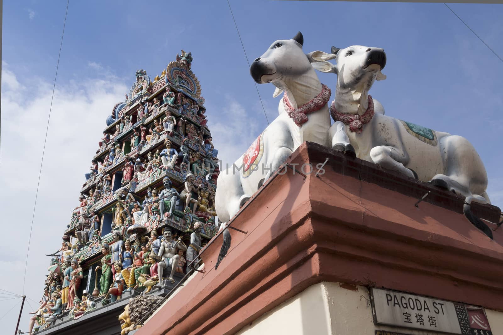 exterior fragment of Sri Mariamman Temple located in Chinatown with focus on cow figures. This temple is oldest and most famous Hindu temple in Singapore.